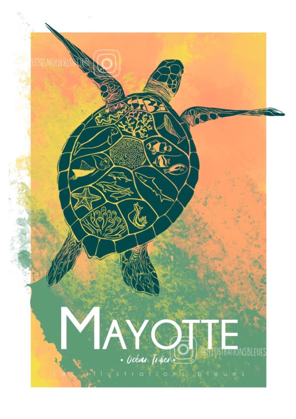 Tortue Mayotte