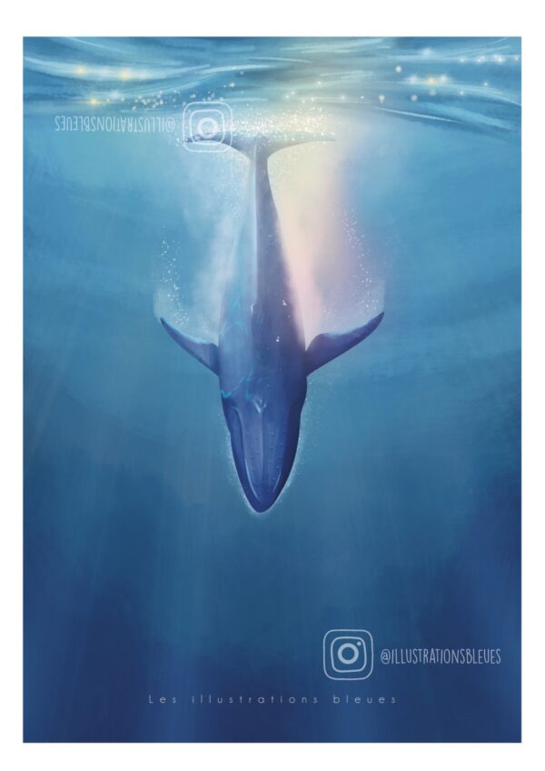 Le plongeon